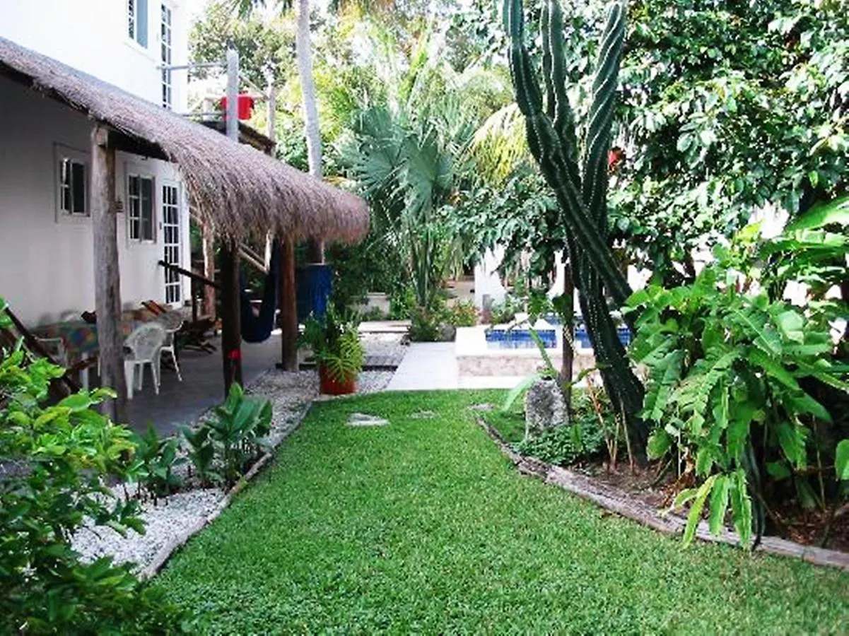 Villa Escondida Guest House Cozumel Downtown 0*,  المكسيك