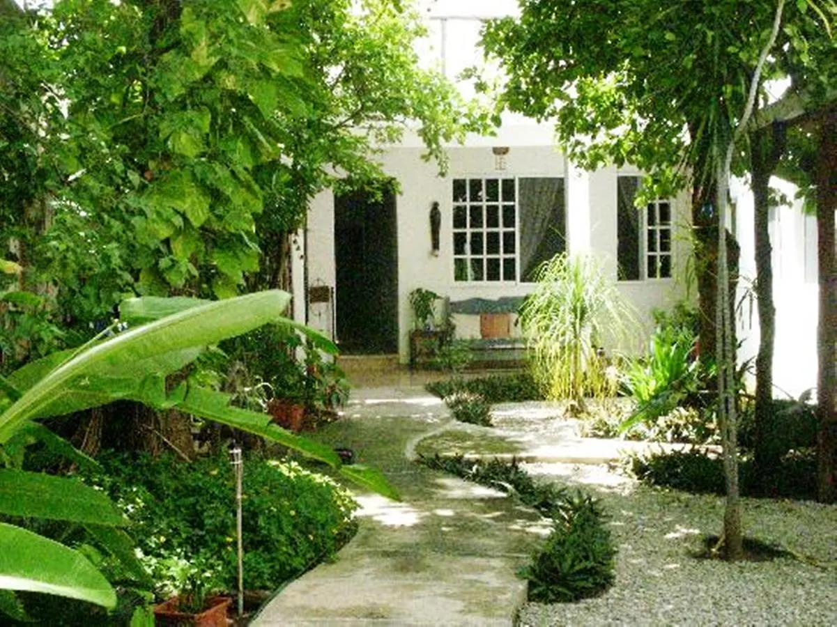 فندق مبيت وإفطار Villa Escondida Guest House Cozumel Downtown المكسيك